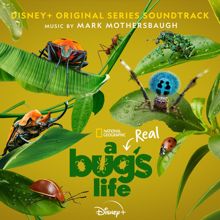Mark Mothersbaugh: A Real Bug's Life (Original Series Soundtrack)