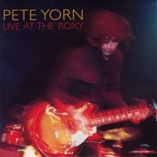 Pete Yorn: Live at the Roxy