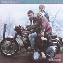 Prefab Sprout: Blueberry Pies