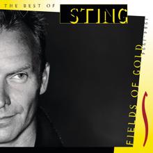 Sting: Fields Of Gold (Live At Villa Il Palagio, Italy/2001) (Fields Of Gold)