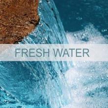 Nature Sounds: Fresh Water