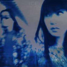 ICE: Midnight Skyway