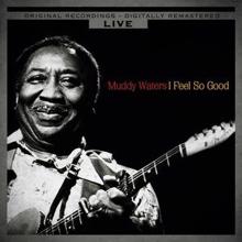 Muddy Waters: Goodbye Newport Blues