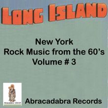 Various Artists: Long Island NY Rock Music of the 60's, Vol. 3