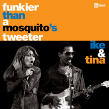 Ike & Tina Turner: Funkier Than A Mosquito's Tweeter