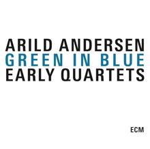 Arild Andersen: The Guitarist