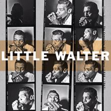 Little Walter: Back Track