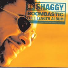 Shaggy: Boombastic