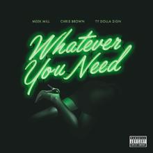 Meek Mill: Whatever You Need (feat. Chris Brown & Ty Dolla $ign)