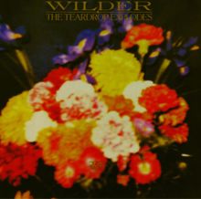 The Teardrop Explodes: Wilder