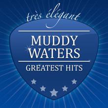 Muddy Waters: You Don't Have to Go