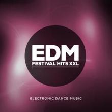 DJ Mix: Electronic Dance Music Hits in the Mix (Continuous DJ Mix)