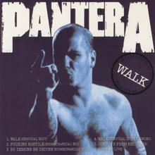 Pantera: Fucking Hostile (Biomechanical Mix)