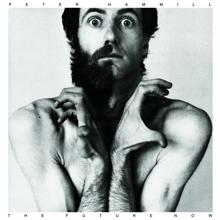 Peter Hammill: If I Could (2006 Digital Remaster)