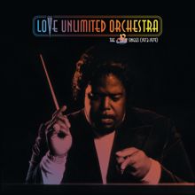 The Love Unlimited Orchestra: Love's Theme (Single Version) (Love's Theme)