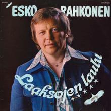 Esko Rahkonen: Kiiltokuva