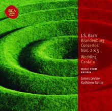 James Levine: Brandenburg Concerto No. 5 in D, BWV 1050/Allegro