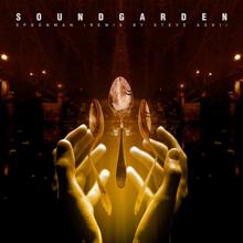 Soundgarden: Spoonman (Remix By Steve Aoki)