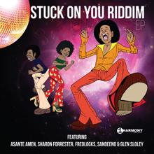 Various Artists: Stuck On You Riddim