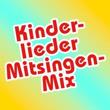 Simone Sommerland, Karsten Glück & die Kita-Frösche: Kinderlieder Mitsingen Mix