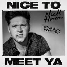 Niall Horan: Nice To Meet Ya (Stripped Version)