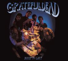 The Grateful Dead: Standing On The Moon