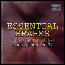 Jeno Jandó: Essential Brahms: String Quartet Op. 67/ Piano Quintet Op. 34
