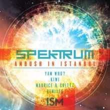 Spektrum: Ambush In Istanbul