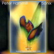 Peter Hammill: Hospital Silence