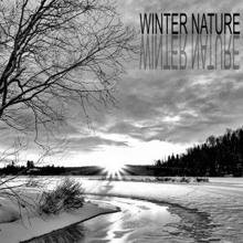 Nature Sounds: Winter Nature