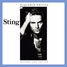 Sting: Fragile (dj MONK's Hard Rain Dub Version) (Fragile)