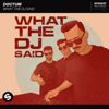 DOCTUM: What The DJ Said (Extended Mix)