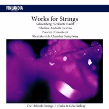 The Helsinki Strings: Shostakovich : Chamber Symphony for String Orchestra, Op. 110a: II. Allegro molto