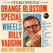 Billy Vaughn And His Orchestra: Summertime