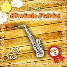 Various Artists: Biesiada vol. 2