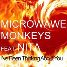 Microwave Monkeys feat. Nita: I've Been Thinking About You