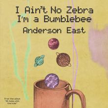 Anderson East: I Ain't No Zebra I'm a Bumblebee
