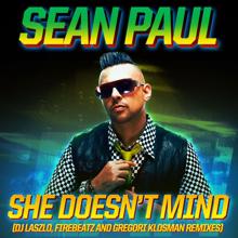Sean Paul: She Doesn't Mind (Remixes)