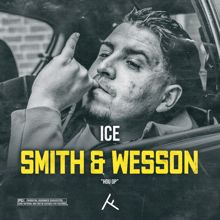 ICE: Smith & Wesson