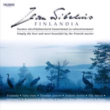 Eero Heinonen: Sibelius: 5 Pieces, Op. 75: II. The Lonely Pine