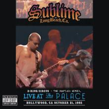 Sublime: 3 Ring Circus - Live At The Palace
