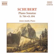 Jenő Jandó: Schubert: Piano Sonatas, D. 784 and D. 894