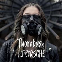 L.porsche: Thornbush