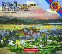 Plácido Domingo: Iris/I fiori