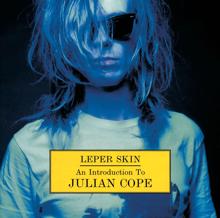 Julian Cope: Leper skin - An Introduction To Julian Cope 1986-92