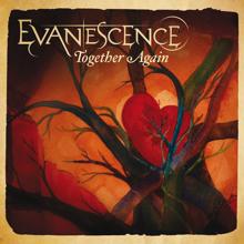 Evanescence: Together Again