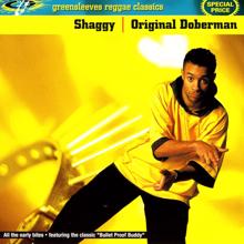 Shaggy: Original Doberman