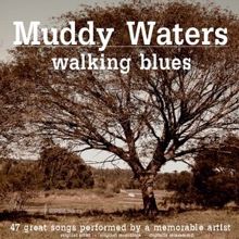 Muddy Waters: Mean Red Spider
