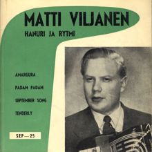 Matti Viljanen: Hanuri ja rytmi