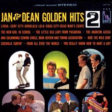 Jan & Dean: Golden Hits